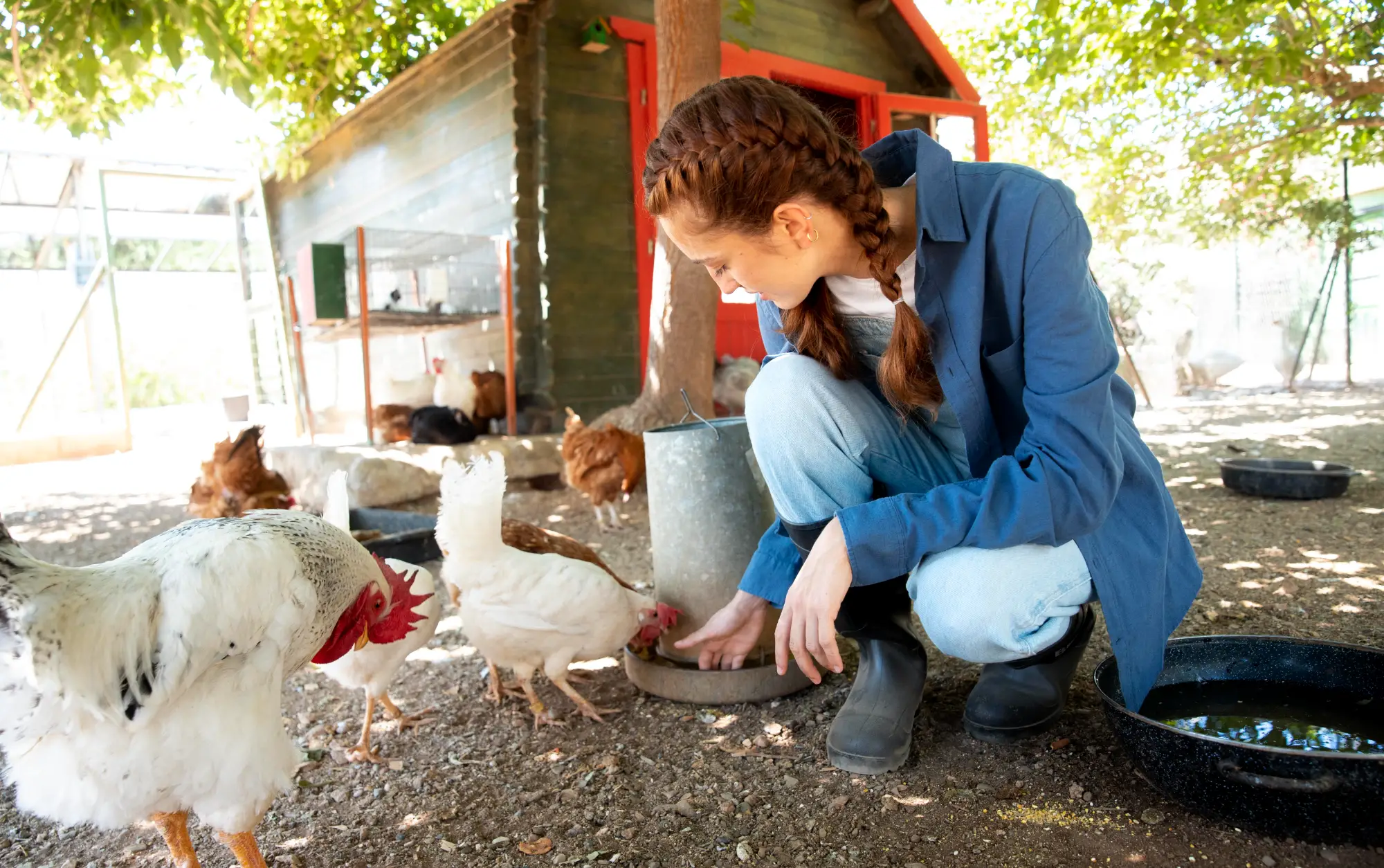Fermier care hrănește animale